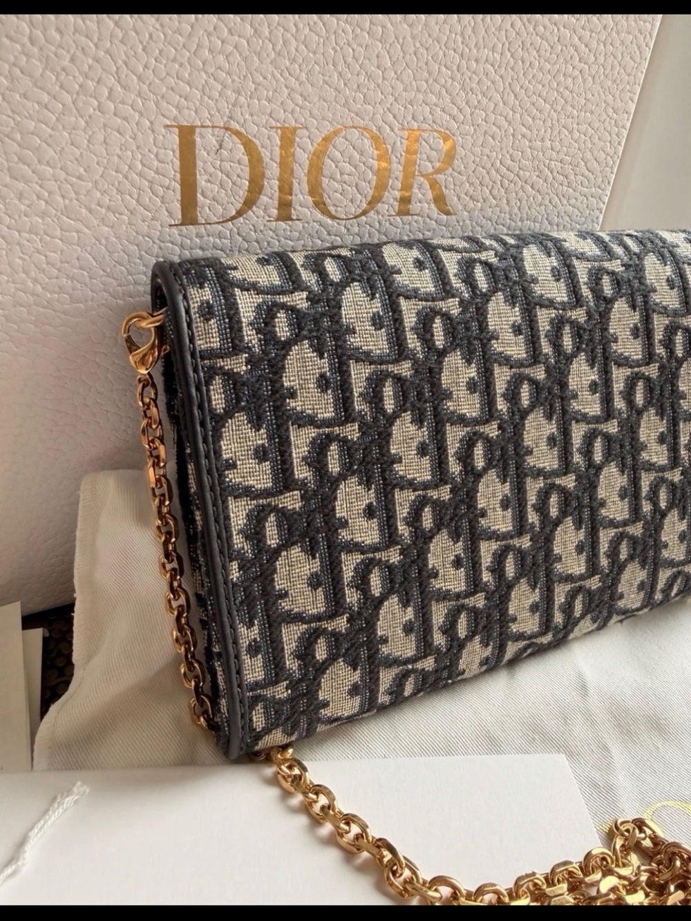 Dior Oblique Monogram Navy/Beige Crossbody with Gold Hardware - Picture 7 of 11